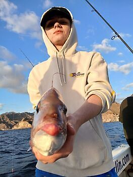 Årets siste dag White Marlin Gran Canaria