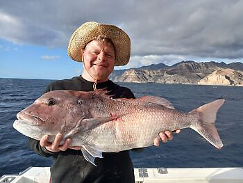 Lihkolaš ođđa jahki White Marlin Gran Canaria
