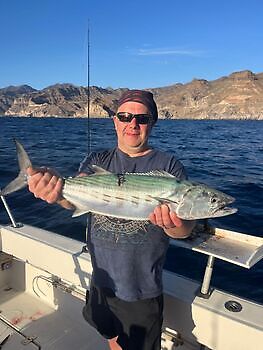 Ingen tid til å puste🎣🔥🎣 White Marlin Gran Canaria