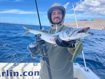 Ingen tid til å puste🎣🔥🎣 White Marlin Gran Canaria
