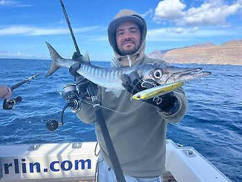 Ingen tid til å puste🎣🔥🎣 White Marlin Gran Canaria