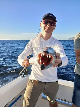 Ingen tid til å puste🎣🔥🎣 White Marlin Gran Canaria