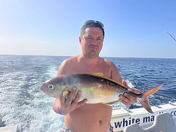 Sun, nice sea, good catch White Marlin Gran Canaria