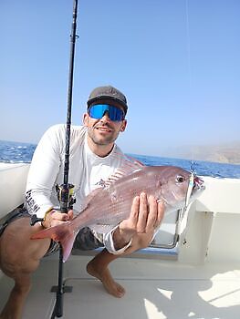 Sun, nice sea, good catch White Marlin Gran Canaria