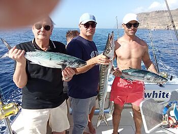 Late night entertainment🎣🌙🎣 White Marlin Gran Canaria