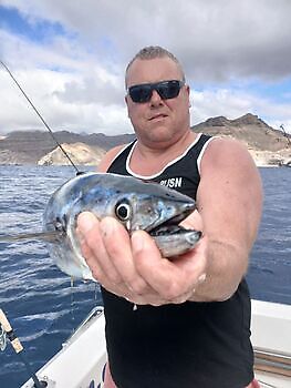 Gode fangster🎣🔥🎣 White Marlin Gran Canaria