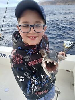 Gode fangster🎣🔥🎣 White Marlin Gran Canaria