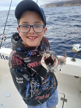 Gode fangster🎣🔥🎣 White Marlin Gran Canaria