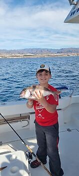 Ochtend White Marlin Gran Canaria