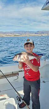 Ochtend White Marlin Gran Canaria