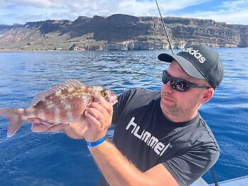 Ochtend White Marlin Gran Canaria