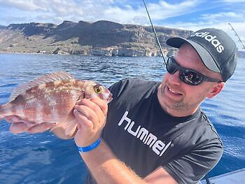 Ochtend White Marlin Gran Canaria