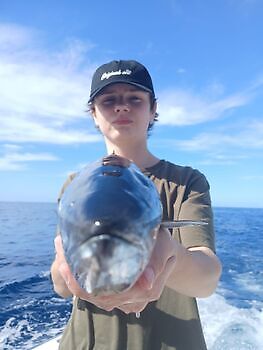 Ochtend White Marlin Gran Canaria