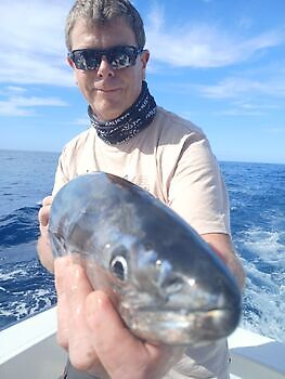 Ochtend White Marlin Gran Canaria