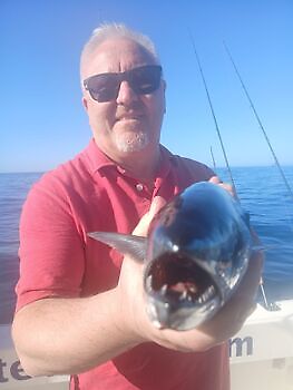 Grote middag 🎣🔥🎣 White Marlin Gran Canaria