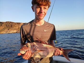 Grote middag 🎣🔥🎣 White Marlin Gran Canaria