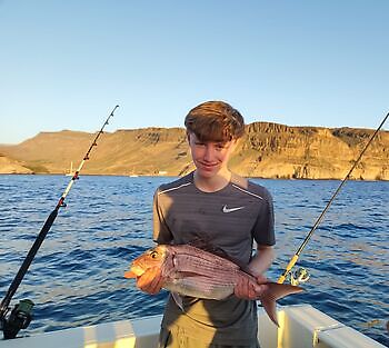 Grote middag 🎣🔥🎣 White Marlin Gran Canaria