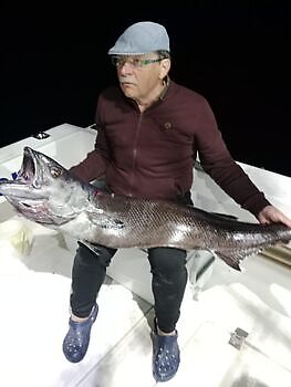 Lindo domingo White Marlin Gran Canaria