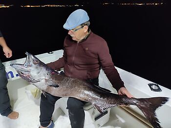 Amberjack, smörfisk🎣🔥🎣 White Marlin Gran Canaria