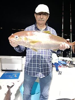 Amberjack, smörfisk🎣🔥🎣 White Marlin Gran Canaria