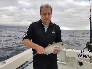 Nuevos retos White Marlin Gran Canaria