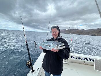 Buen comienzo de semana White Marlin Gran Canaria