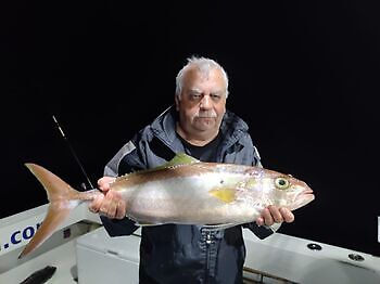 Sen mandag kveld White Marlin Gran Canaria
