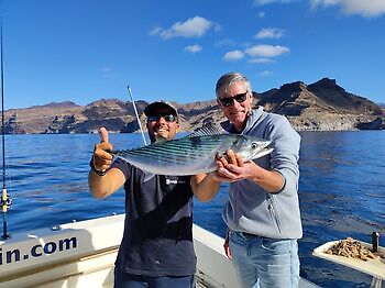 Día de los medregales White Marlin Gran Canaria