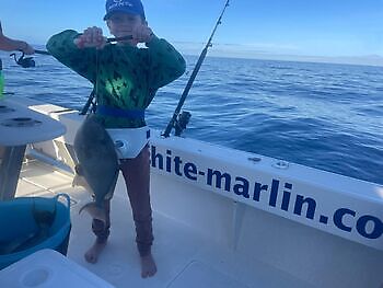 Varios tipos de pesca White Marlin Gran Canaria