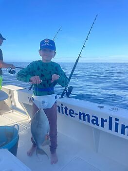 Varios tipos de pesca White Marlin Gran Canaria