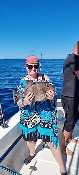 Varios tipos de pesca White Marlin Gran Canaria