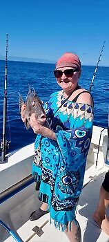 Varios tipos de pesca White Marlin Gran Canaria