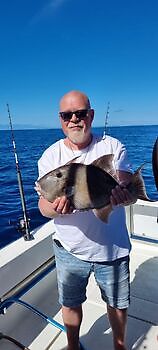 Varios tipos de pesca White Marlin Gran Canaria