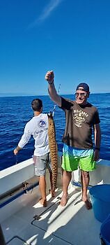 Varios tipos de pesca White Marlin Gran Canaria