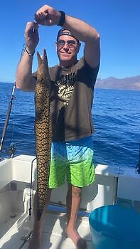 Varios tipos de pesca White Marlin Gran Canaria