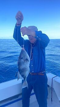 Nuevos retos White Marlin Gran Canaria