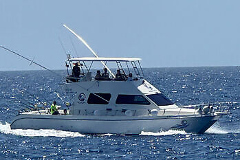 Barco de pesca deportiva White Marlin II - White Marlin Gran Canaria
