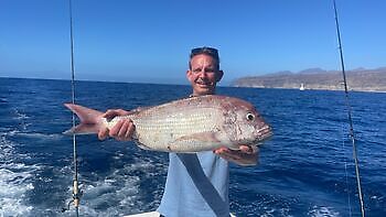 Varios tipos de pesca White Marlin Gran Canaria