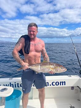 Tag der Bernsteinmakrelen!!! White Marlin Gran Canaria