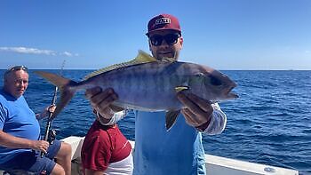 ¡¡¡Ya queda menos!!! White Marlin Gran Canaria