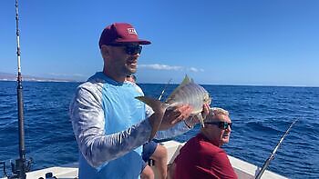 Diverse fiske White Marlin Gran Canaria