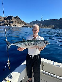 Seguimos con suerte y buena pesca!! White Marlin Gran Canaria