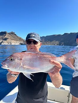 Er is nog minder over!! White Marlin Gran Canaria