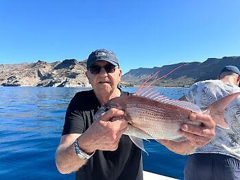 Er is nog minder over!! White Marlin Gran Canaria