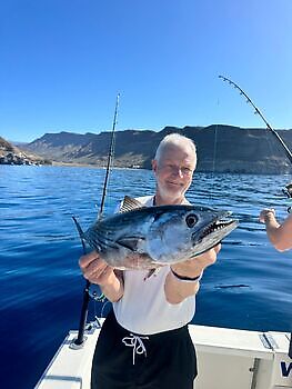 Er is nog minder over!! White Marlin Gran Canaria