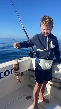 Er is nog minder over!! White Marlin Gran Canaria