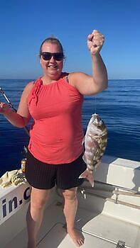 Er is nog minder over!! White Marlin Gran Canaria
