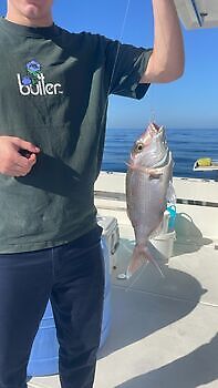 Er is nog minder over!! White Marlin Gran Canaria