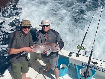 Seguimos con suerte y buena pesca!! White Marlin Gran Canaria