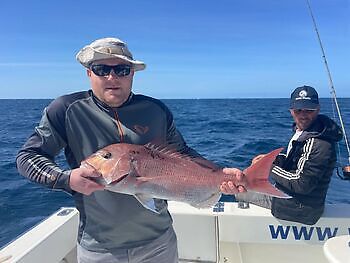 Seguimos con suerte y buena pesca!! White Marlin Gran Canaria